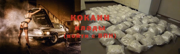 метадон Богданович