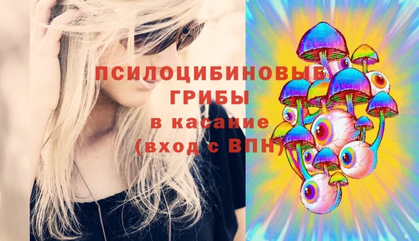 а пвп мука Белокуриха