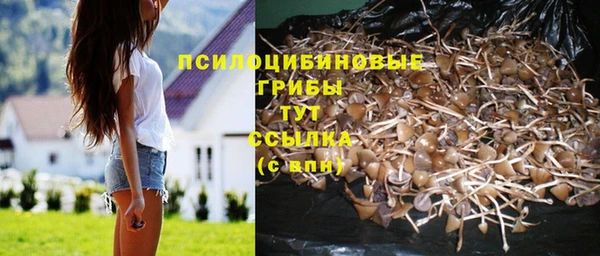 дживик Богородск