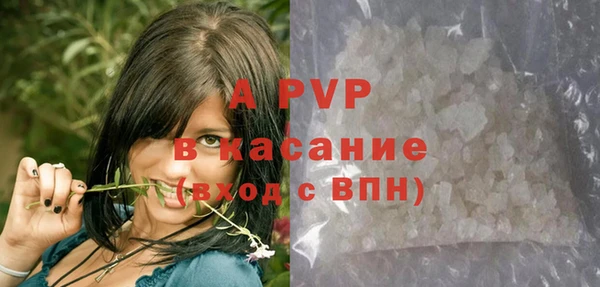 метадон Богданович