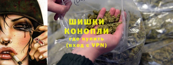 дживик Богородск