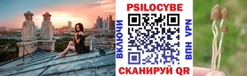 Псилоцибиновые грибы прущие грибы  Дно 