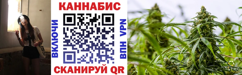 Конопля Amnesia Дно